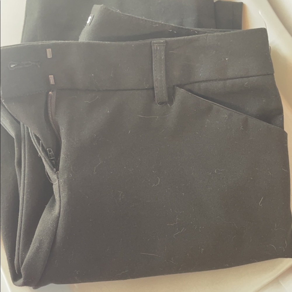 Express dress pants
